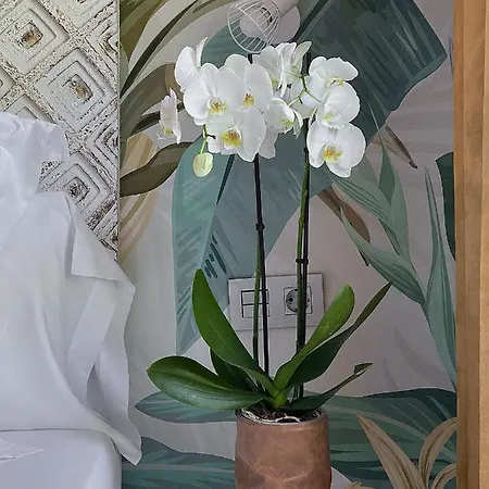 Szálloda Boutique Txanka Erreka Parking Incluido 3*