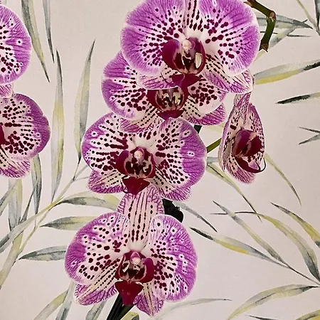 Boutique Txanka Erreka Parking Incluido ホテル